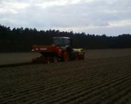714 beim pflanzen 2 (2)